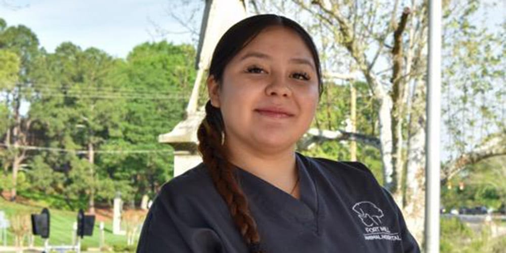 Esme - Veterinary Assistant