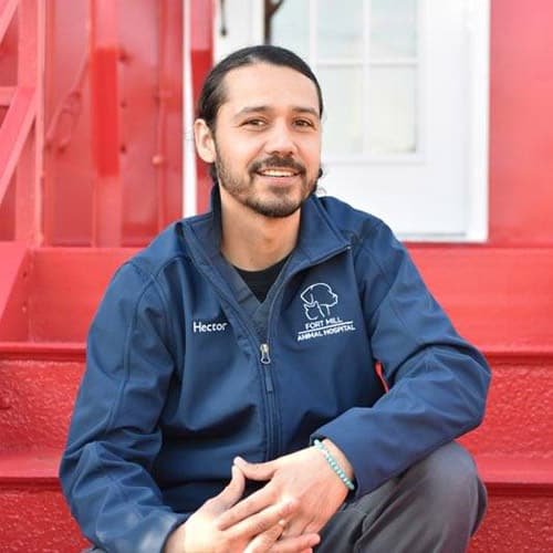 Hector - Senior Veterinary Assistant